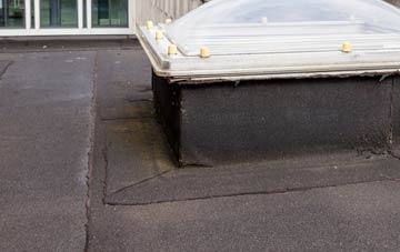 disadvantages of Ibrox flat roofs